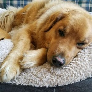 Meet your Posher, April